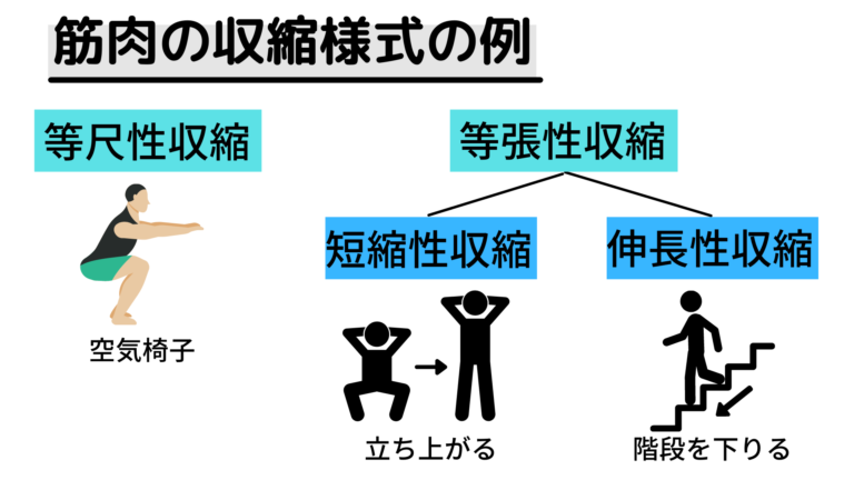 等速運動を試すためのヒント
